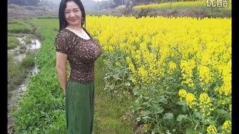 华裔av jade feng bt,BT领域的璀璨明珠