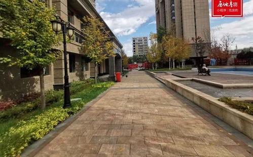 长春最新小区爆料,揭秘热门住宅区的亮点与挑战