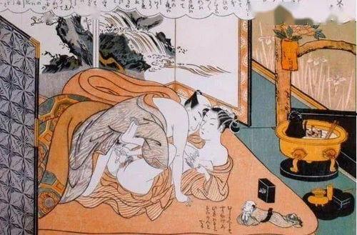 日本舍弟,探寻日本传统兄弟情谊的温馨故事