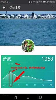 最高记录免费观看,最高记录免费观看，畅享视听盛宴