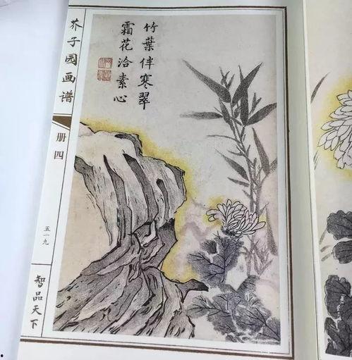 芥子园 视频,探寻古典园林艺术的魅力与传承