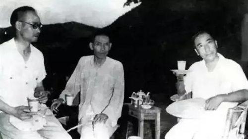杜月视频,揭秘生活百态，展现人间真情