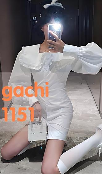 gachi-1151 在线播放,在线播放的视听盛宴