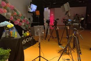 婚礼大赛视频,婚礼大赛精彩瞬间大盘点