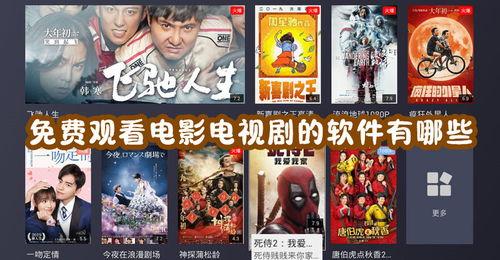 免费色片视频,暗流涌动的网络迷局