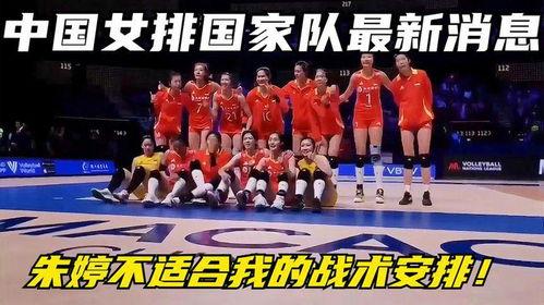 中国队最新爆料新闻,最新备战动态揭秘