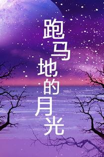 月光的指引在线播放,跟随月光指引的神秘之旅