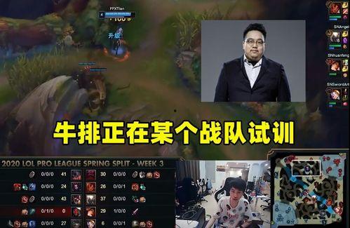 最新战队爆料,揭秘最新战队动向与神秘策略