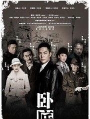 卧底电视在线观看,揭秘卧底警察的惊险在线追捕之旅