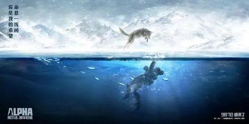 伴狼归途手机在线播放,手机在线观看，惊悚之旅即将开启